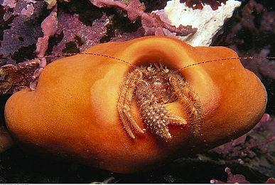 直播热门游戏《8号出口》正式登陆Switch